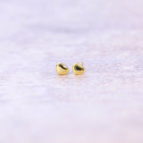 Gold Plated Tiny Earrings - sterling silver-NuNu jewellery