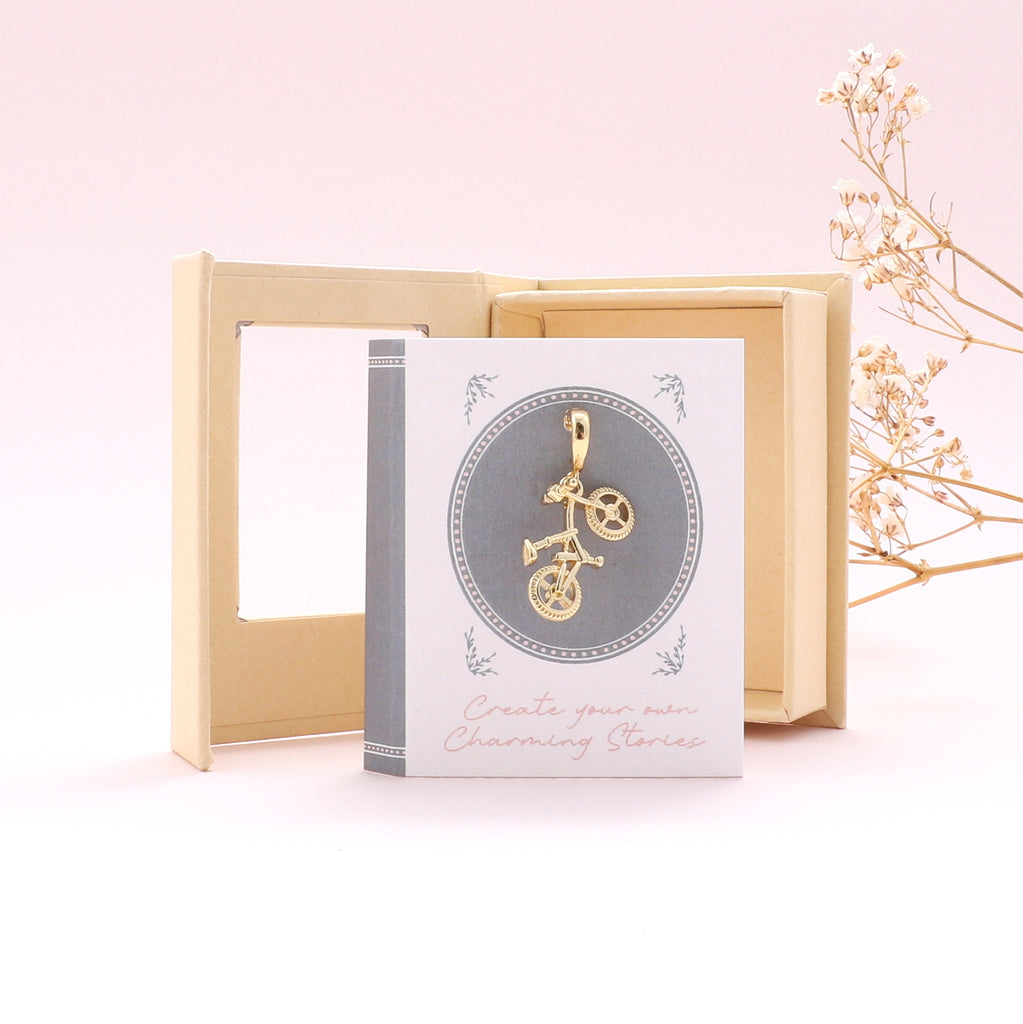 Charming Story 27 The Hobbyist - sterling silver-NuNu jewellery