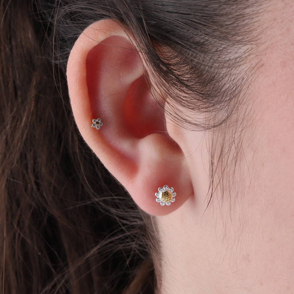 Friendship Is Like Sunshine Sterling Silver Earrings - sterling silver-NuNu jewellery