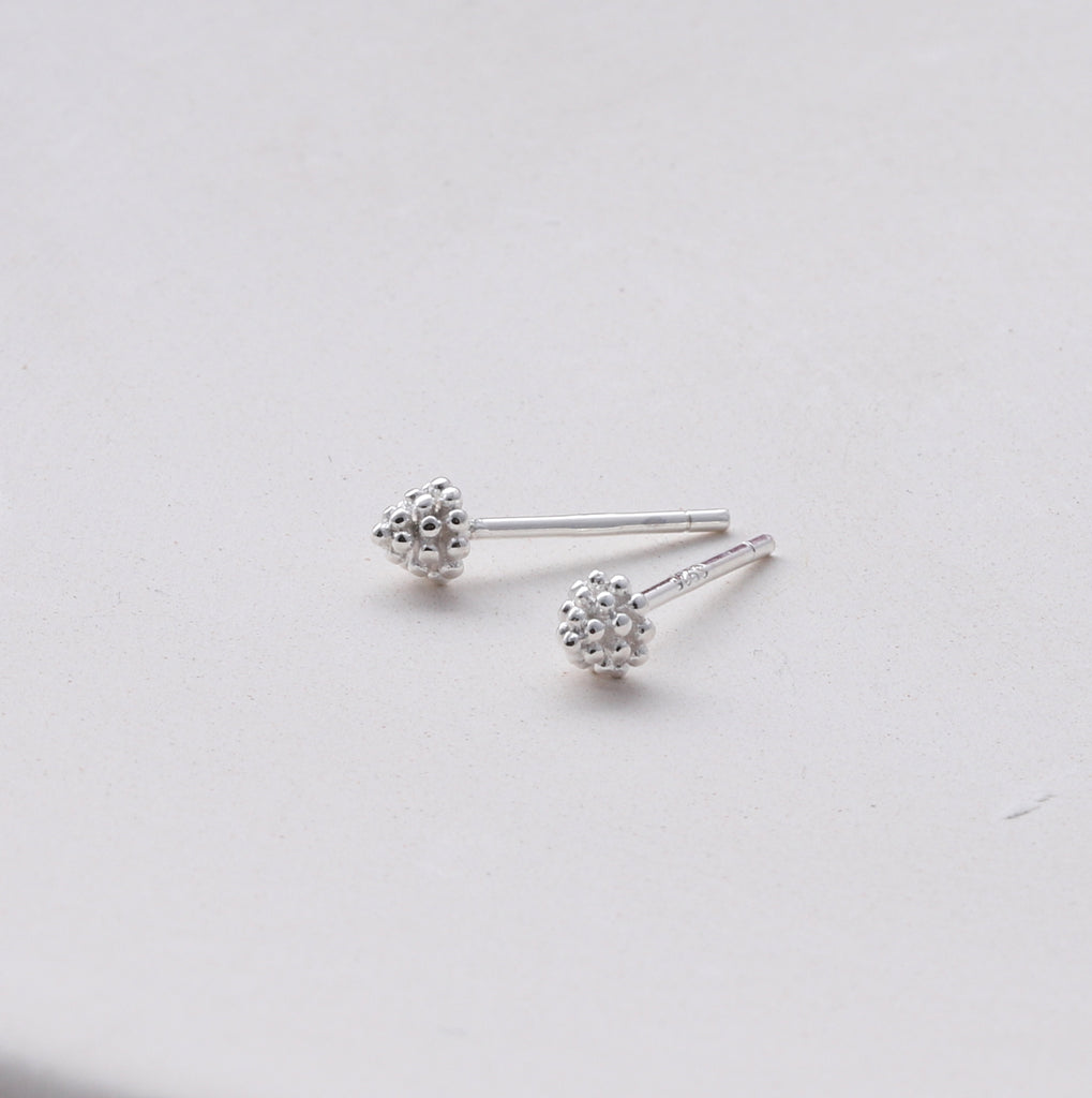 Earrings In A Message Bottle 'Bestie Nuts' - sterling silver-NuNu jewellery