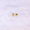 Gold Plated Tiny Earrings - sterling silver-NuNu jewellery