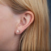 Sterling Silver Hedgehog Earrings - sterling silver-NuNu jewellery